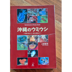 Opisthobranchs of Ryukyu islands