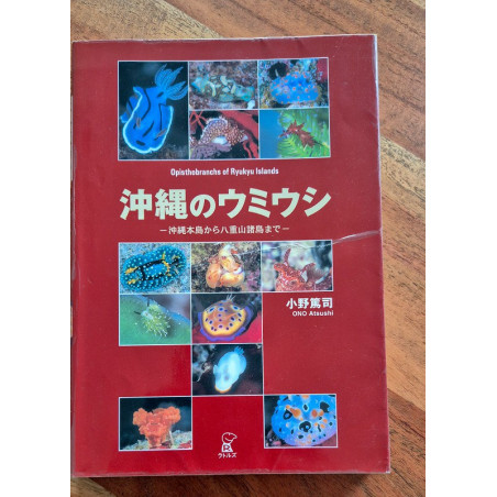 Opisthobranchs of Ryukyu islands