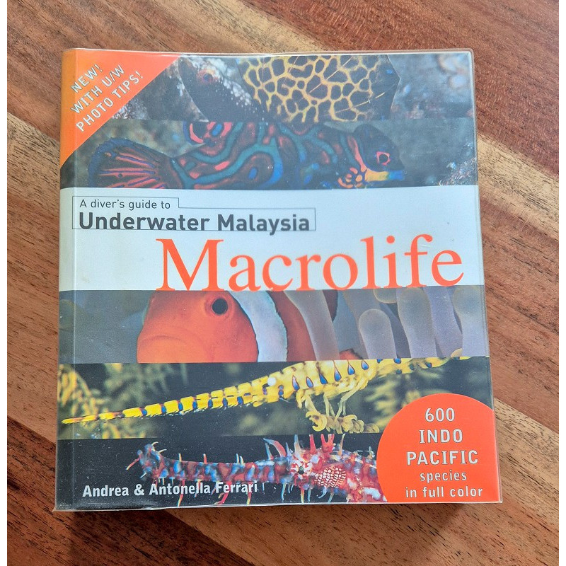 A Diver's Guide to Underwater Malaysia Macrolife