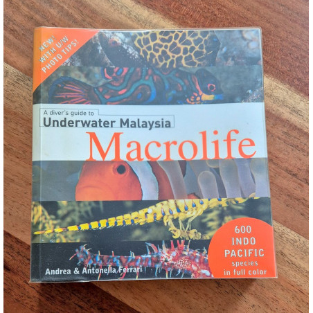 A Diver's Guide to Underwater Malaysia Macrolife