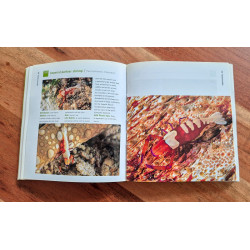 A Diver's Guide to Underwater Malaysia Macrolife